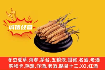 西安回收冬虫夏草